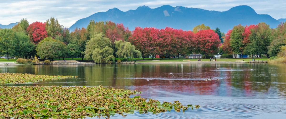 Kensington-Cedar Cottage