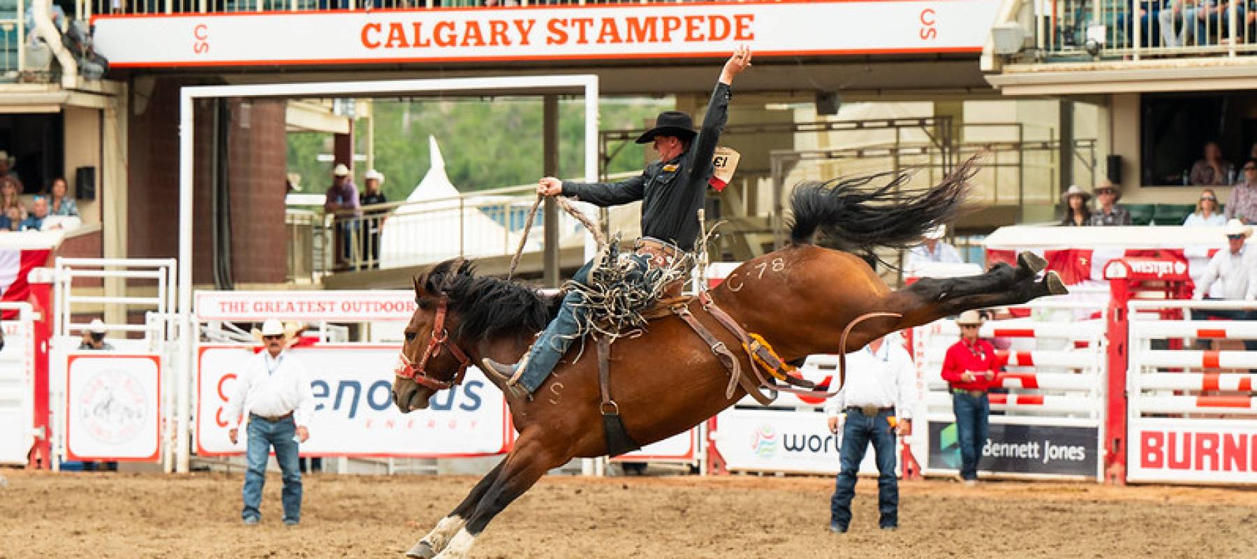 Calgary Stampede
