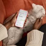 Wealthsimple credit card