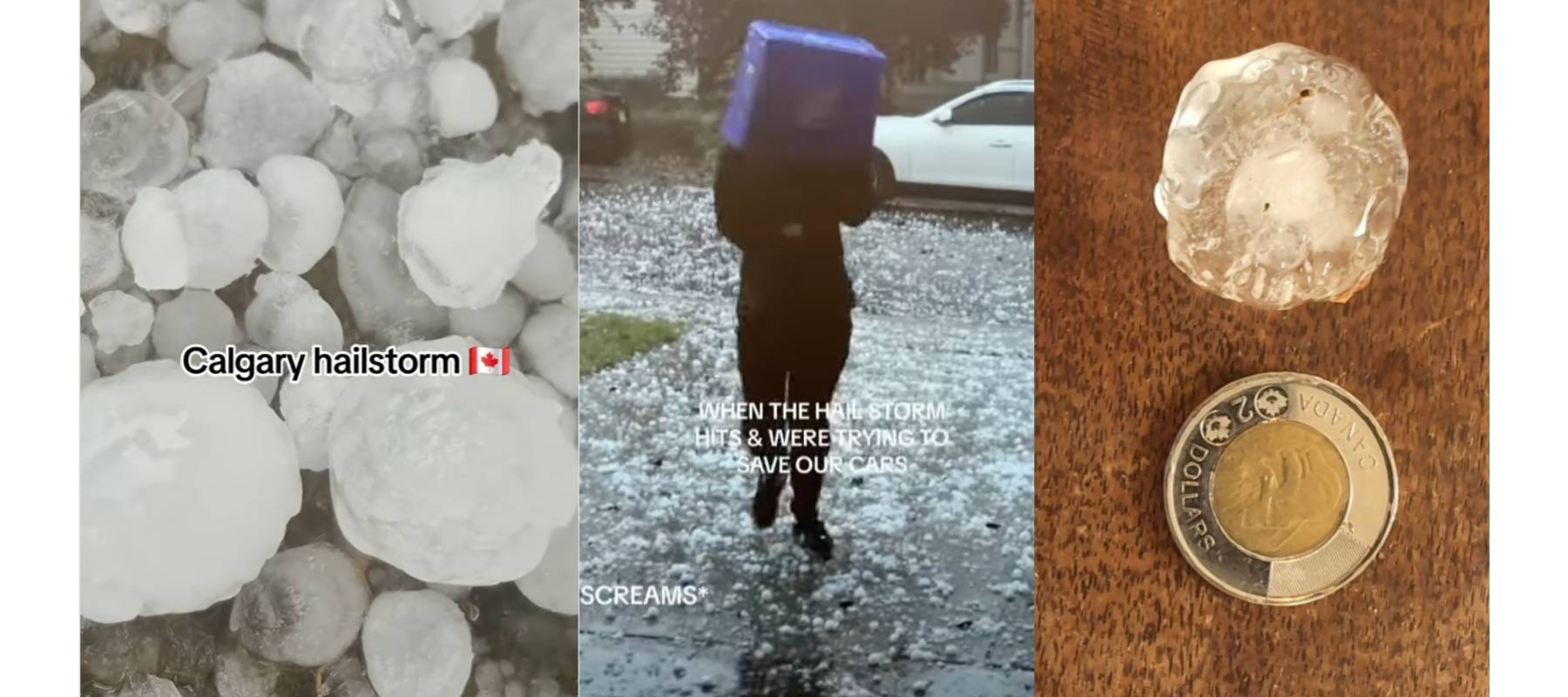 Images of Calgary hailstorm