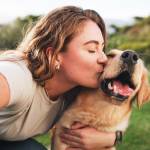 Dog ownership costs