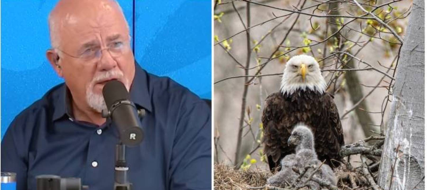 Dave Ramsey collage with eagle and nest