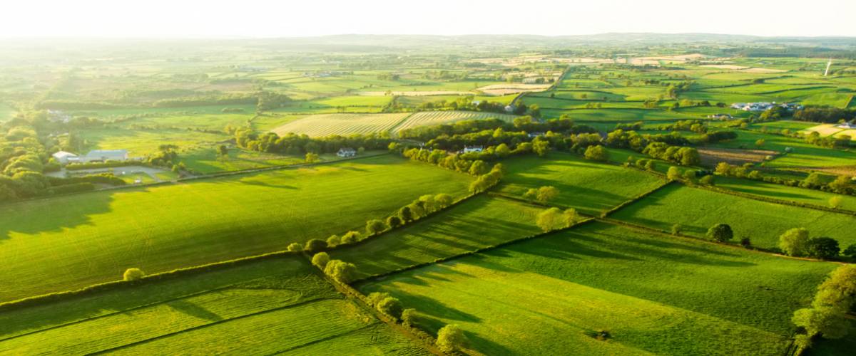 Aerial view of endless lush pastures and farmland.