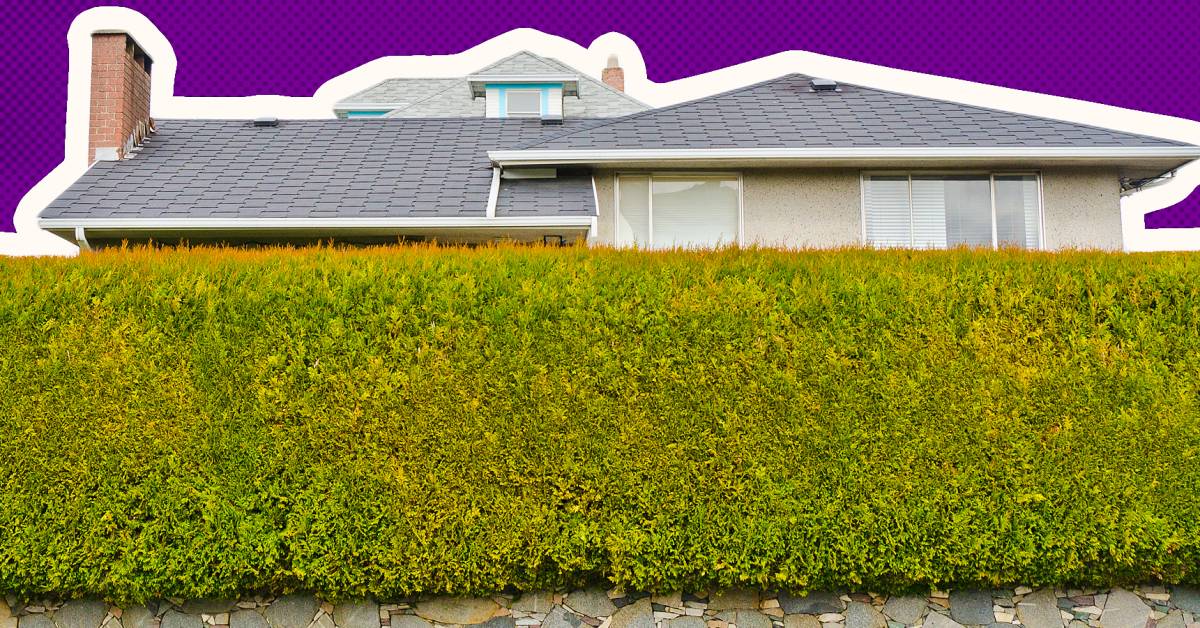 Why Ontario's new rules on blind bidding won't lower house prices