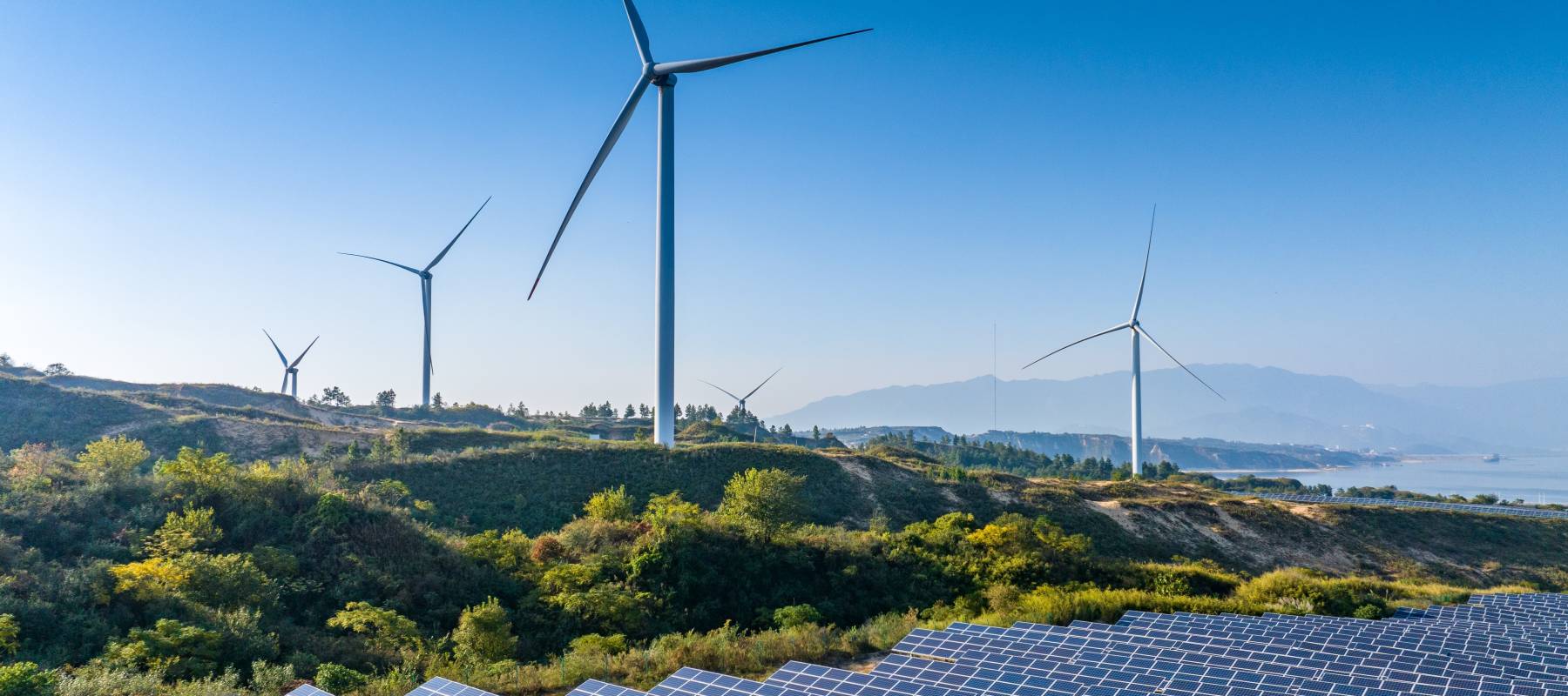 Renewable energy sector: Solar panels and wind power generation equipment