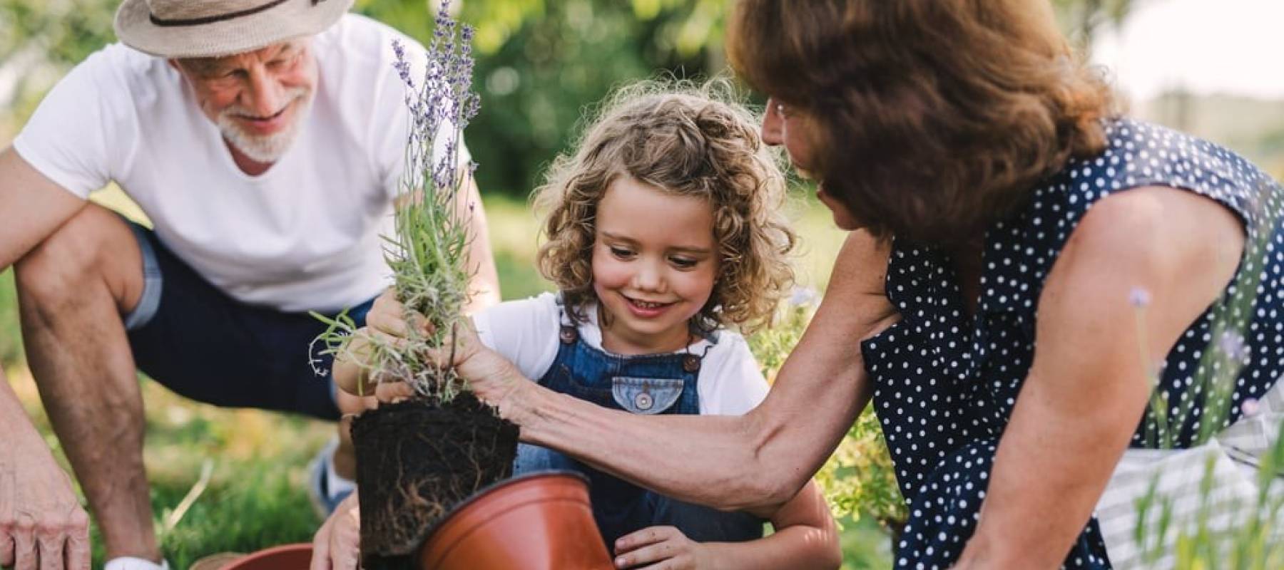 Senior grandparents and granddaughter gardening