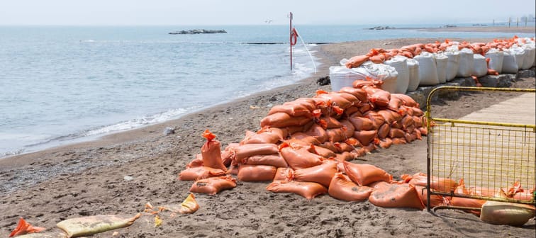 Sandbags help protect beach habitat