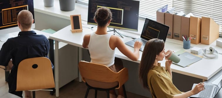 Back view at all female business team working on IT project in office