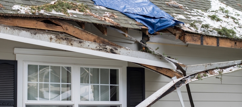 Residential house crushed by fallen trees and tree limbs during severe winter storm with strong winds.