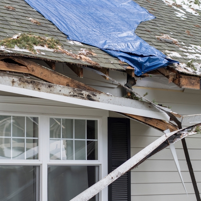 Residential house crushed by fallen trees and tree limbs during severe winter storm with strong winds.