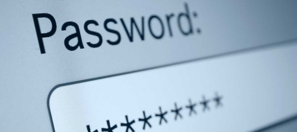 Screenshot of a computer screen with a password field