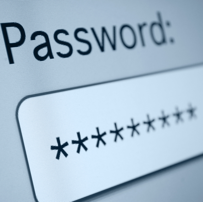 Screenshot of a computer screen with a password field