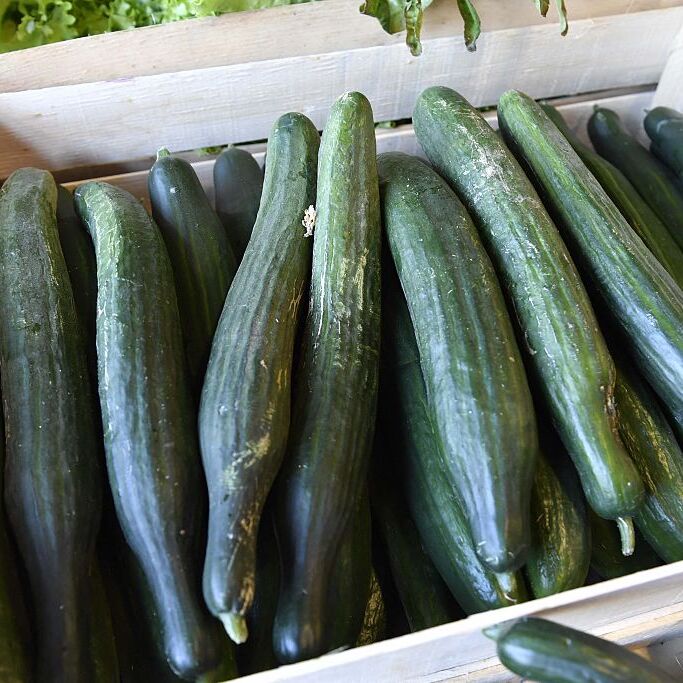 Cucumbers in a bin