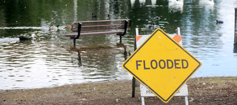 Flooded sign in front of a duck pond after a heavy storm