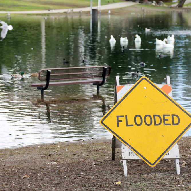 Flooded sign in front of a duck pond after a heavy storm
