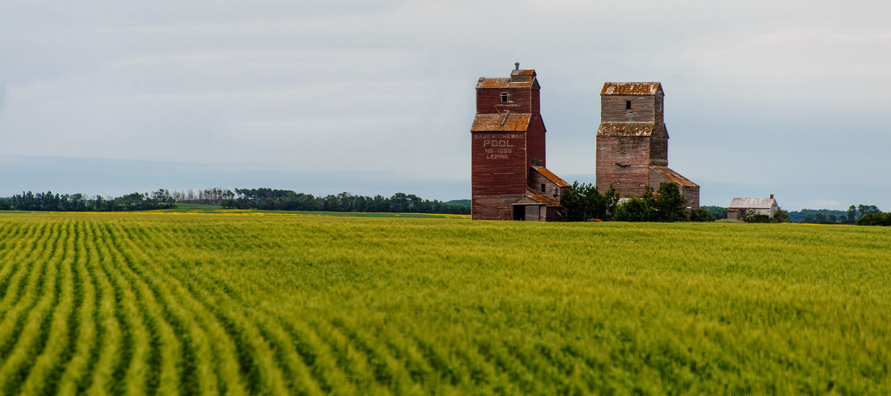 Saskatchewan