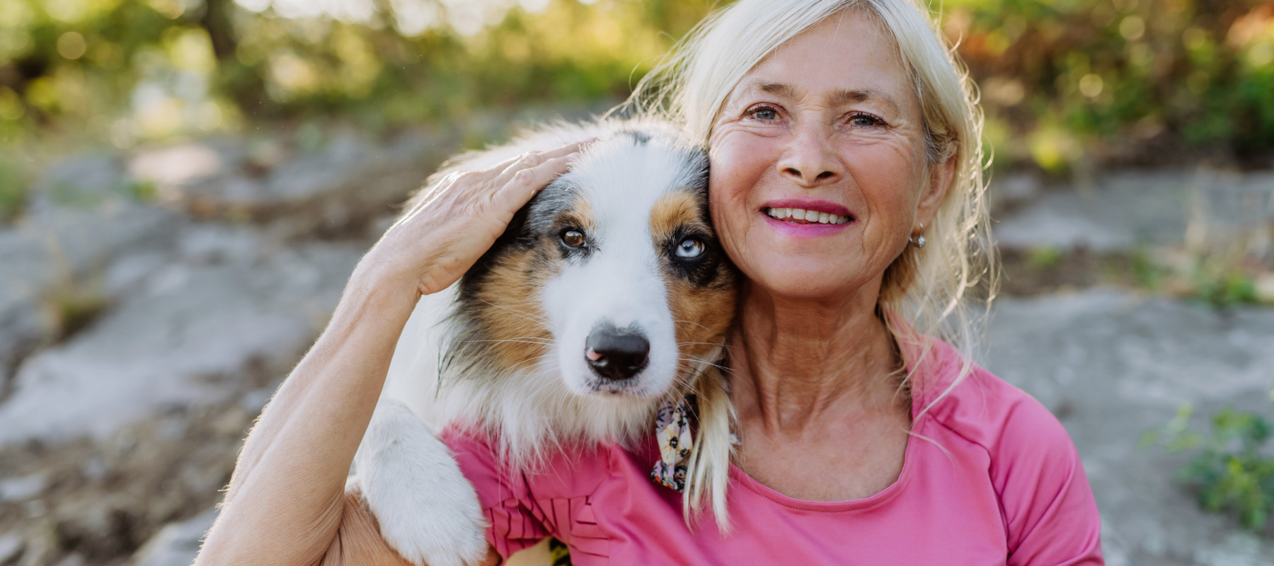 Pet spending