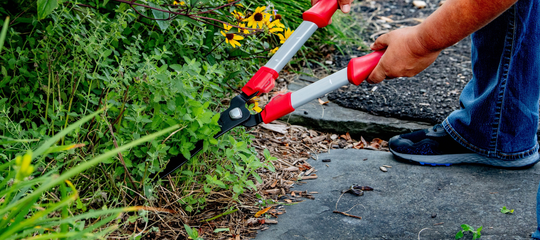 Homeowners cutting back