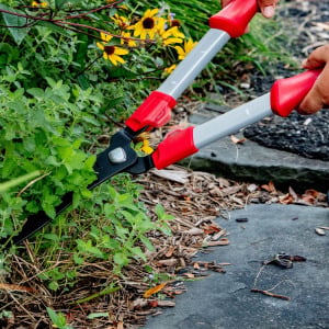 Homeowners cutting back