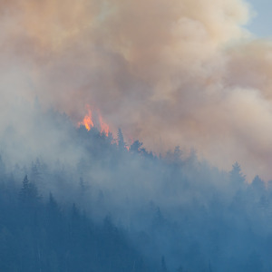 BC wildfire