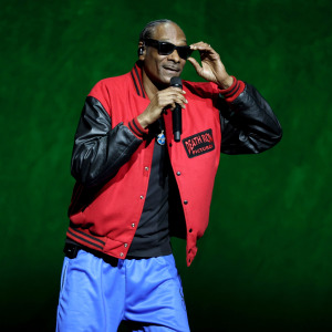 Snoop Dogg is looking for ice cream testers