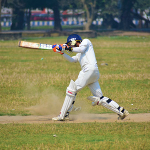 Cricket game