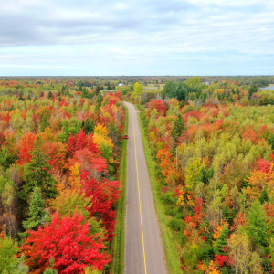 Fall in Canada