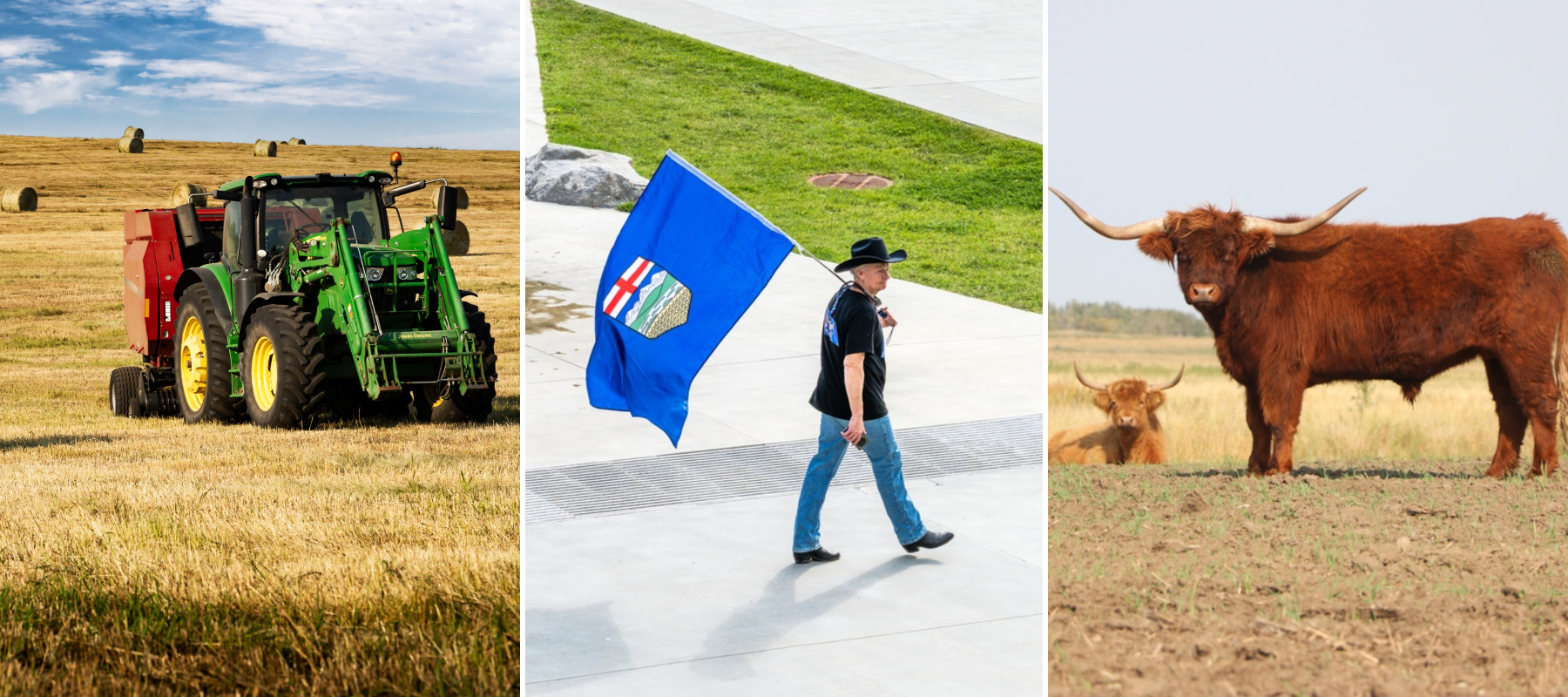 Alberta farmer in between two Alberta farms