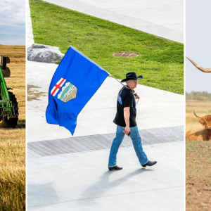 Alberta farmer in between two Alberta farms
