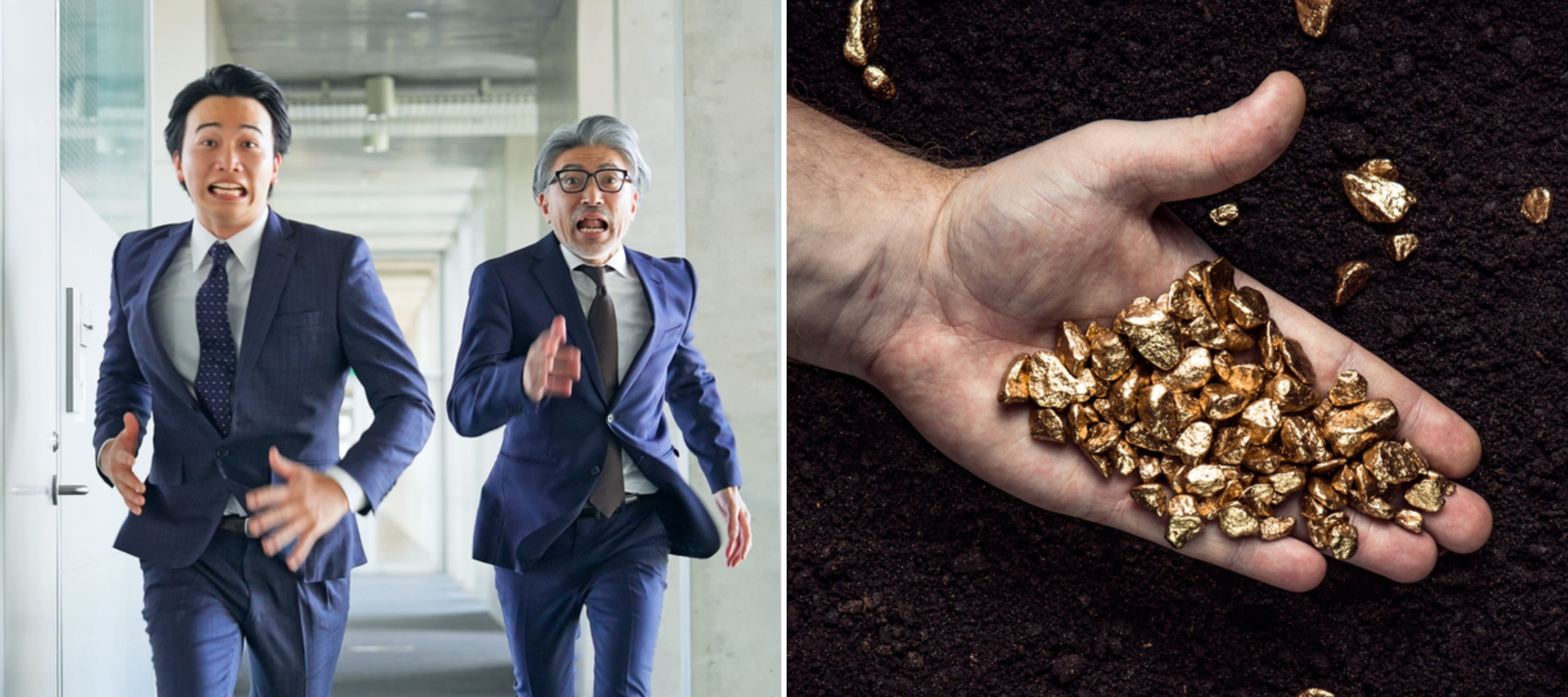 Investors chasing gold stocks