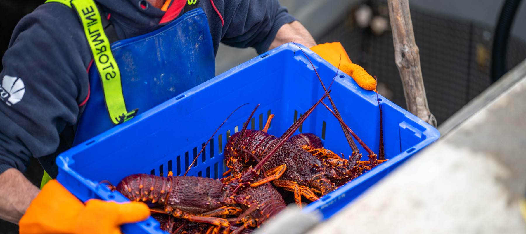 Canada fishing industry fund