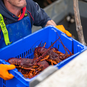 Canada fishing industry fund