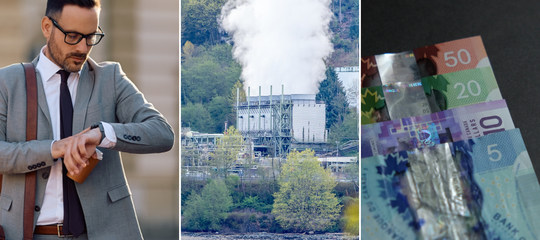 Lose out on carbon rebate