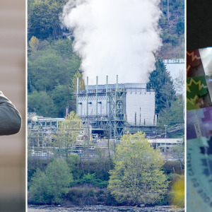 Lose out on carbon rebate