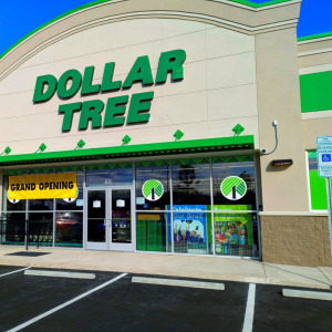 Dollar Tree Store and car phone charger