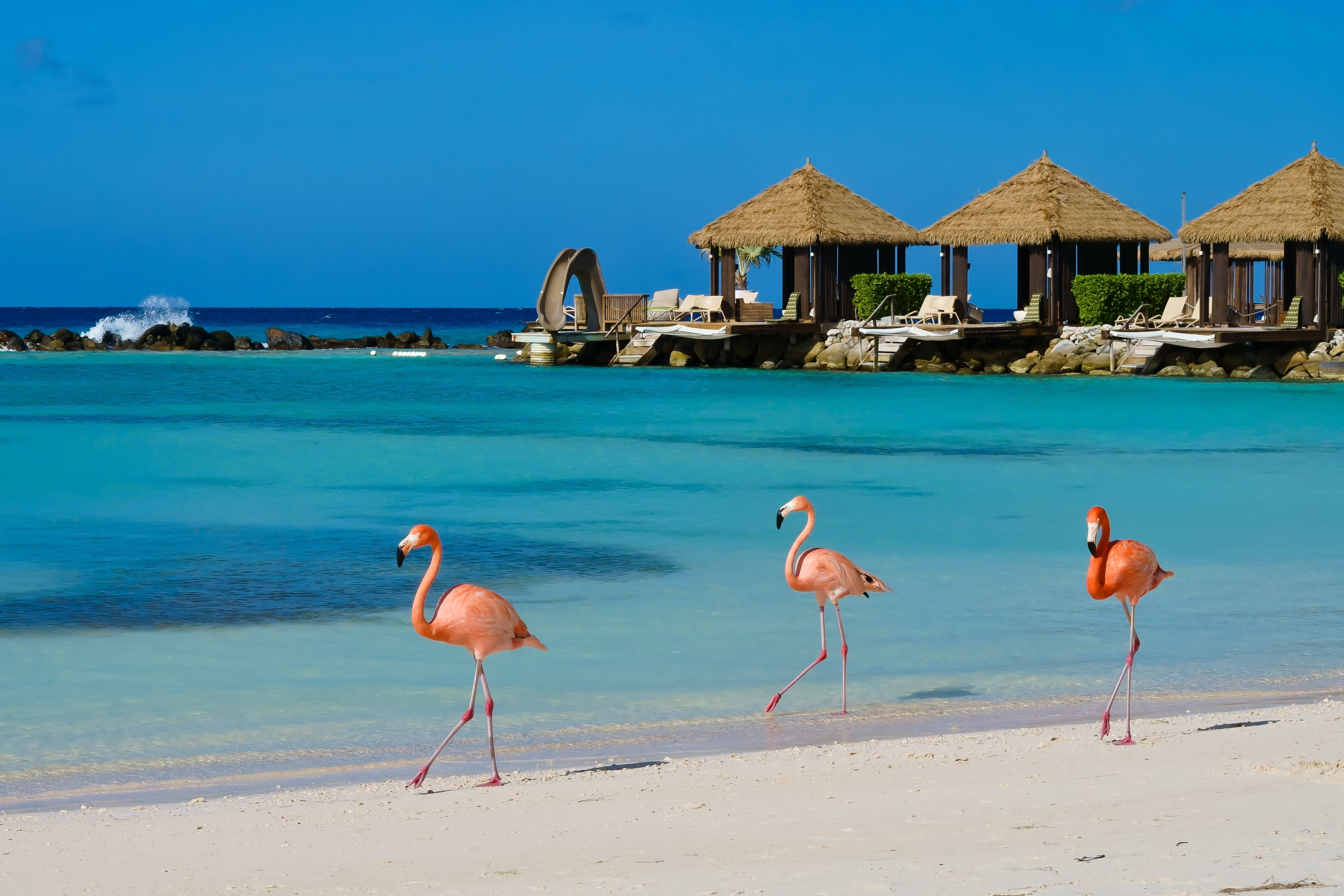 Aruba