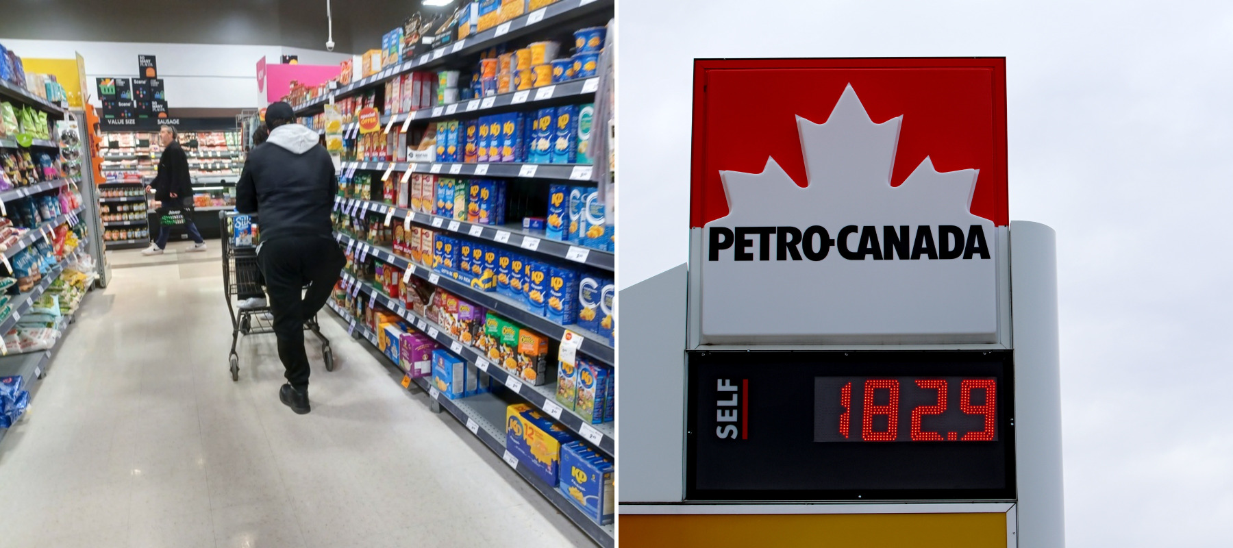 Person grocery shopping, elevated gas price