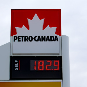 Person grocery shopping, elevated gas price