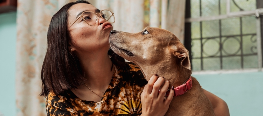 Cost of owning a pet