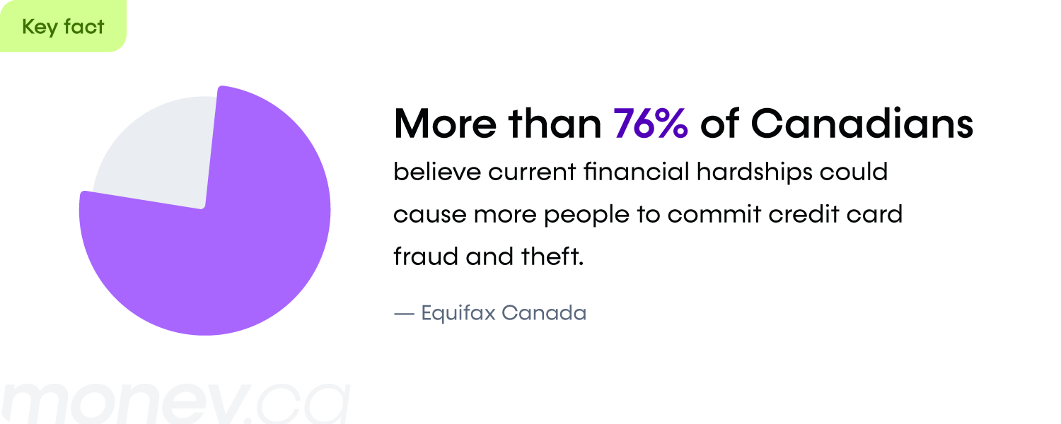 A pie chart shows that more than three-quarters of Canadians blame financial hardships on fraud and theft.